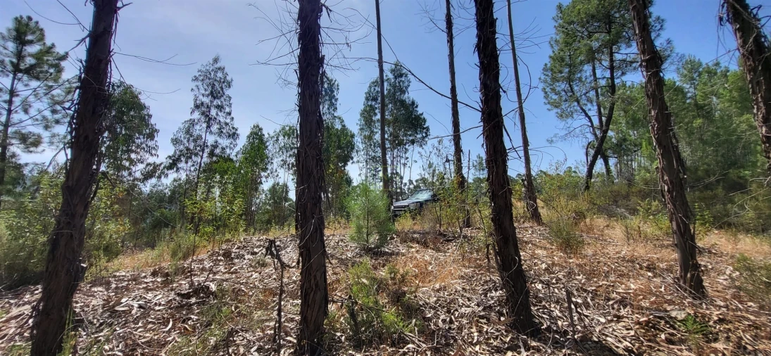 Terreno Agricola ou Rústico para Venda em Fratel Foto 18