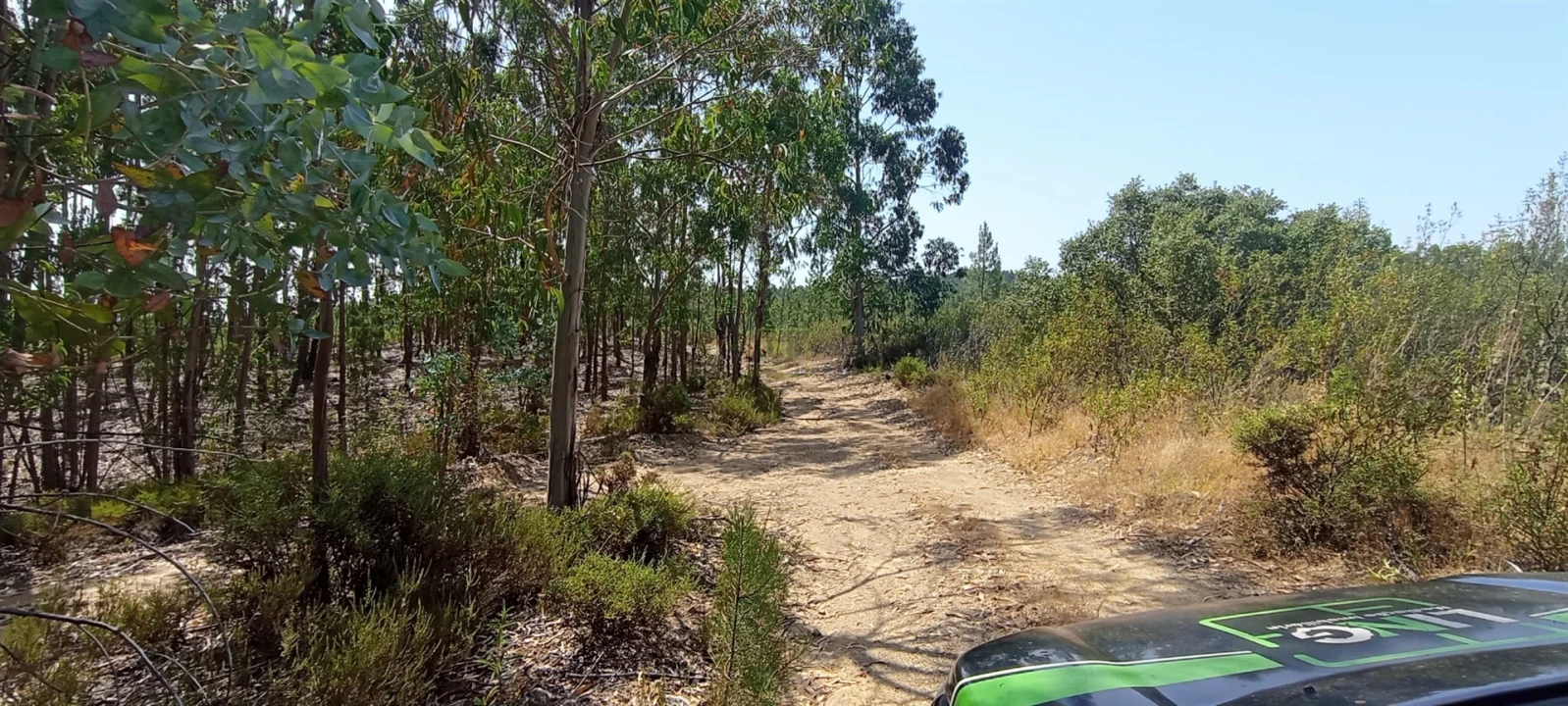 Terreno Agricola ou Rústico para Venda em Fratel Foto 26