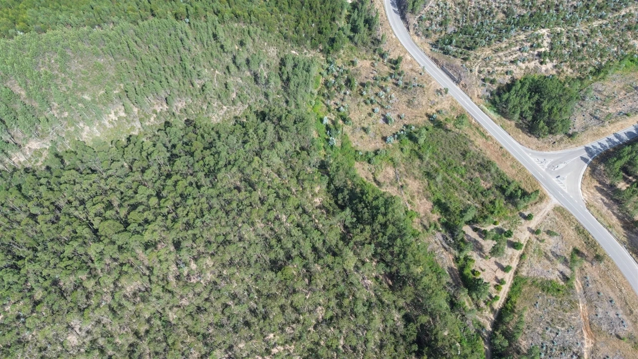 Terreno Agricola ou Rústico para Venda em Fratel Foto 2