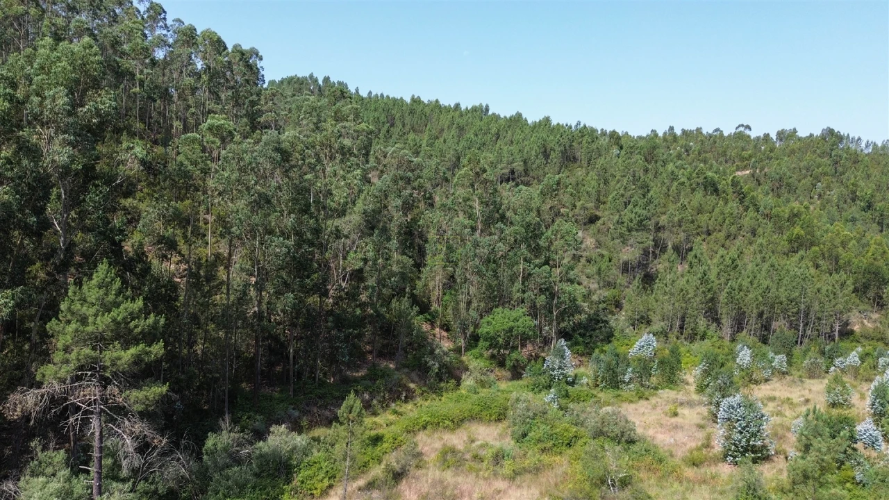 Terreno Agricola ou Rústico para Venda em Fratel Foto 7
