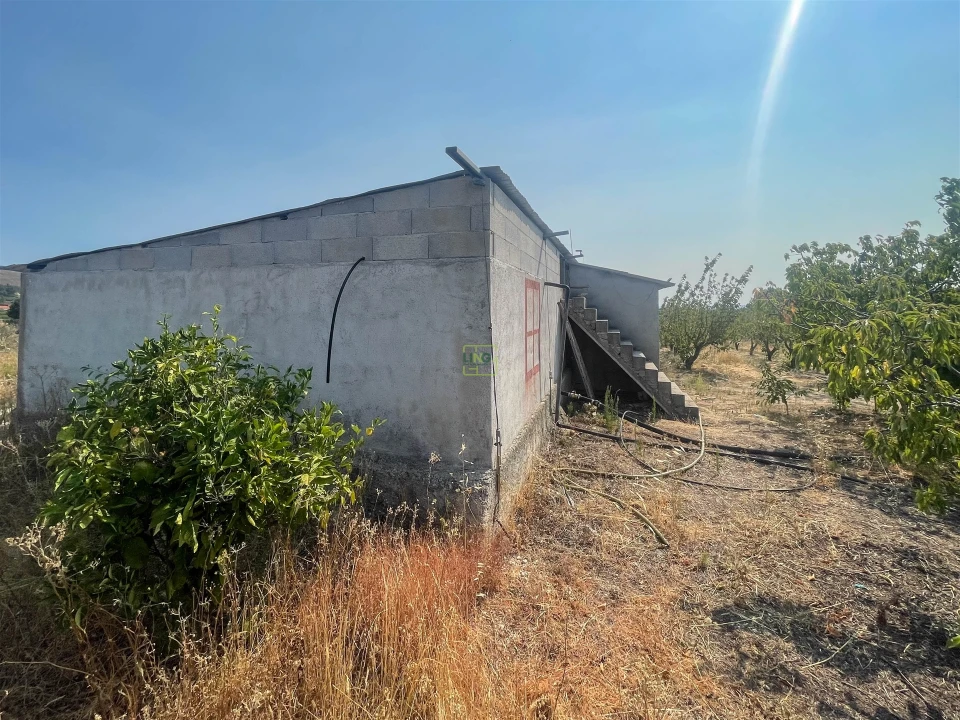 Quinta T1 para Venda em Vale de Prazeres e Mata da Rainha Foto 89