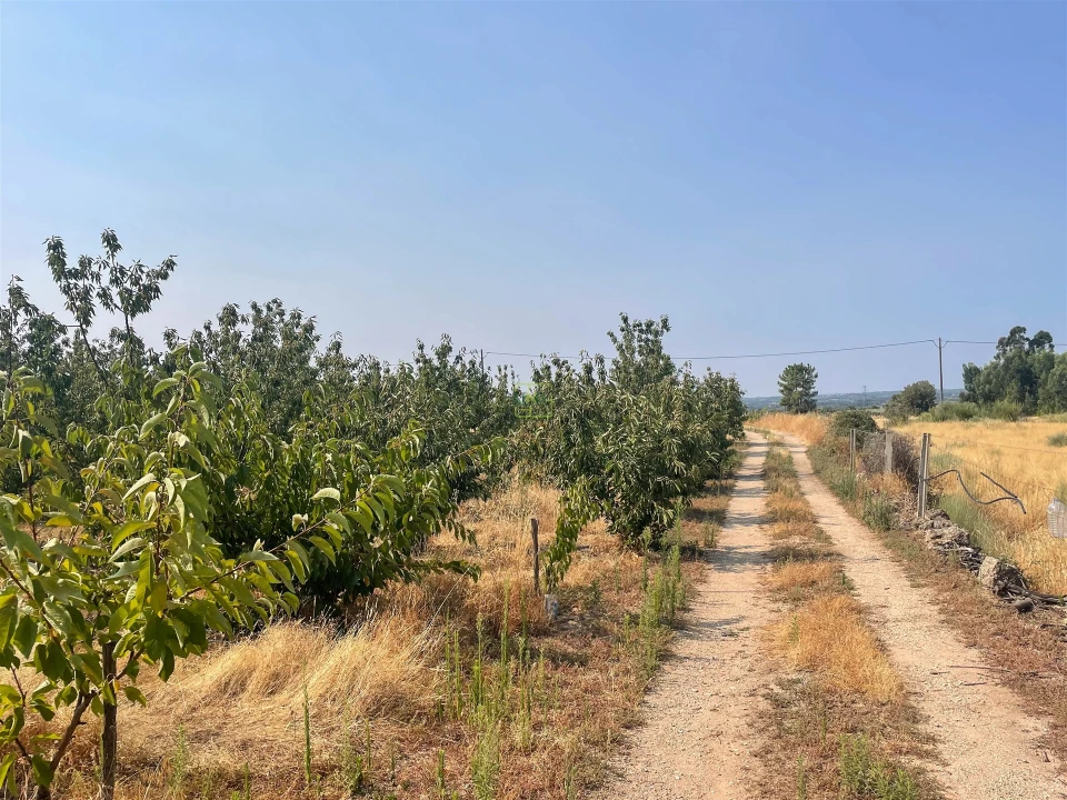 Quinta T1 para Venda em Vale de Prazeres e Mata da Rainha Foto 87