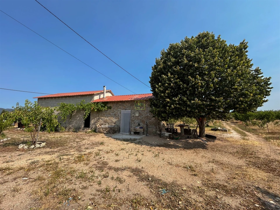 Quinta T1 para Venda em Vale de Prazeres e Mata da Rainha Foto 40
