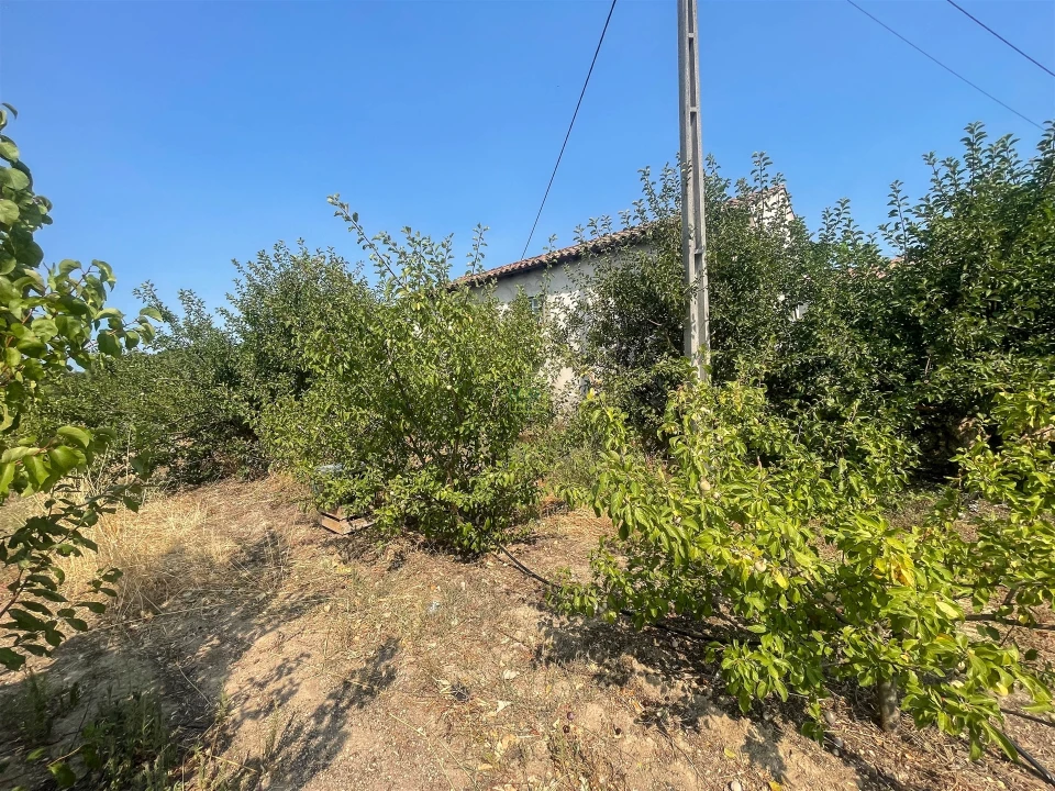Quinta T1 para Venda em Vale de Prazeres e Mata da Rainha Foto 57