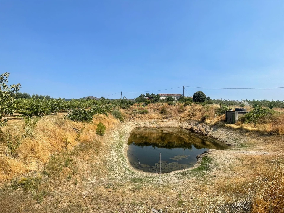 Quinta T1 para Venda em Vale de Prazeres e Mata da Rainha Foto 112