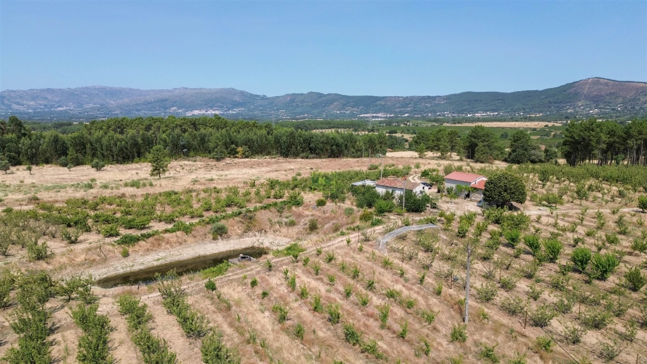 Quinta T1 para Venda em Vale de Prazeres e Mata da Rainha Foto 18