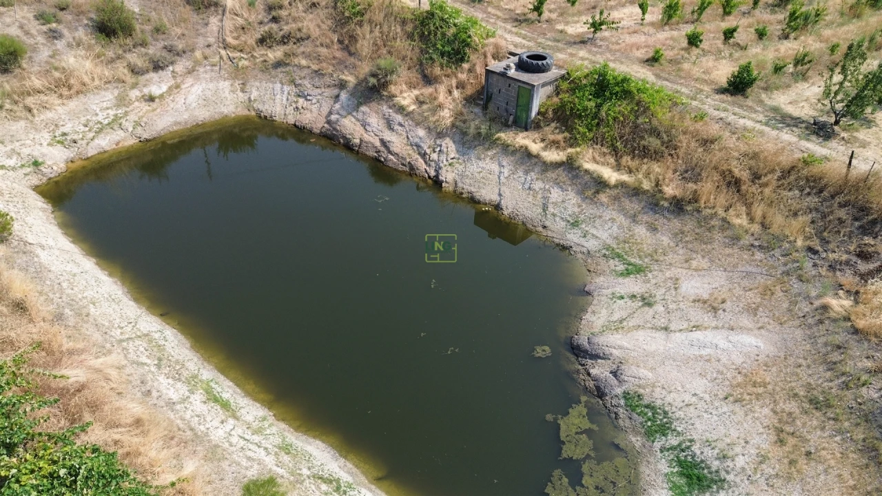 Quinta T1 para Venda em Vale de Prazeres e Mata da Rainha Foto 11