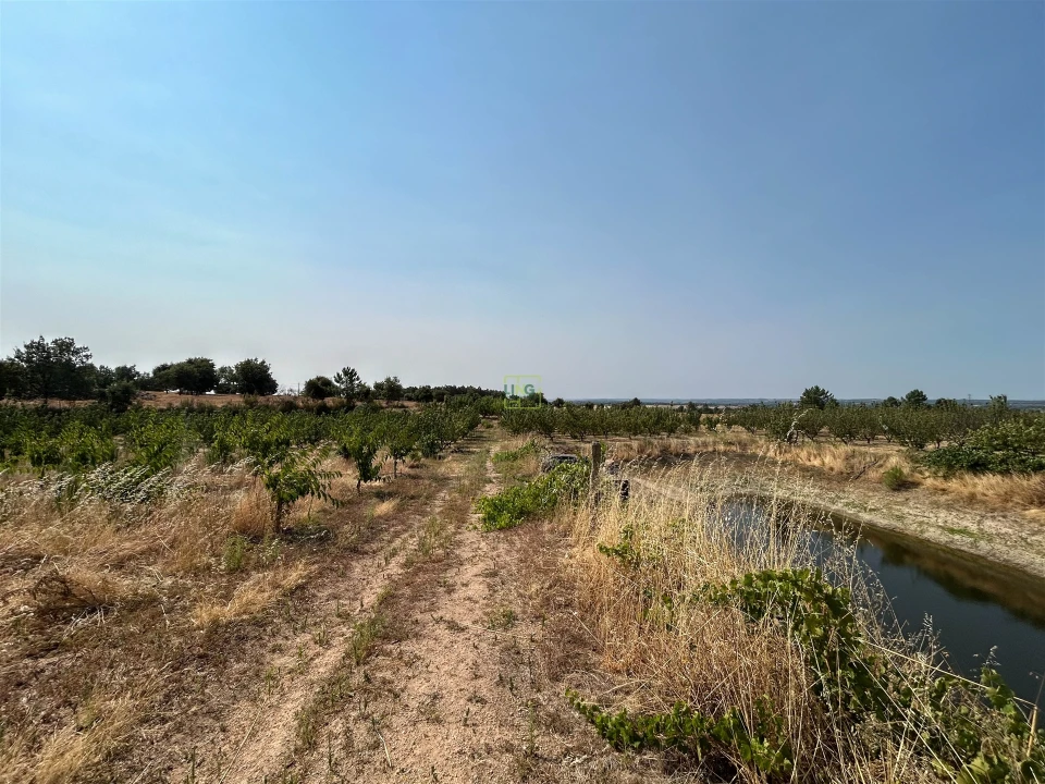 Quinta T1 para Venda em Vale de Prazeres e Mata da Rainha Foto 73