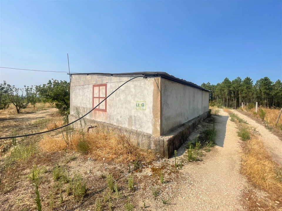 Quinta T1 para Venda em Vale de Prazeres e Mata da Rainha Foto 95