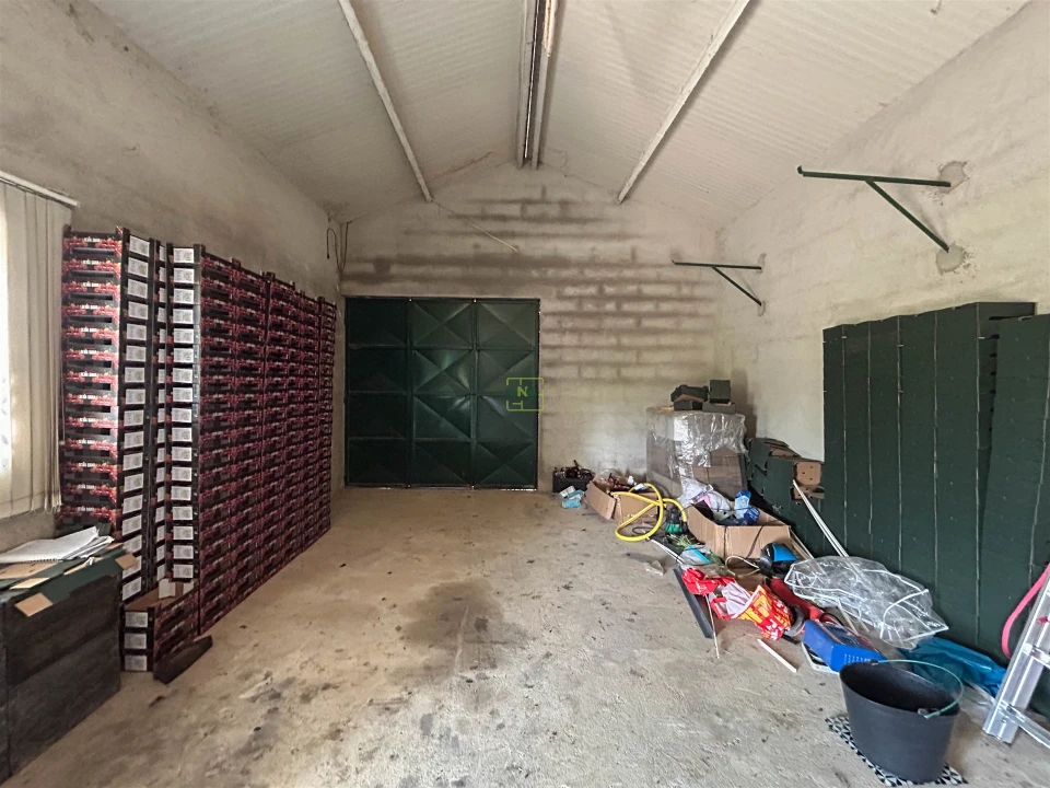 Quinta T1 para Venda em Vale de Prazeres e Mata da Rainha Foto 33