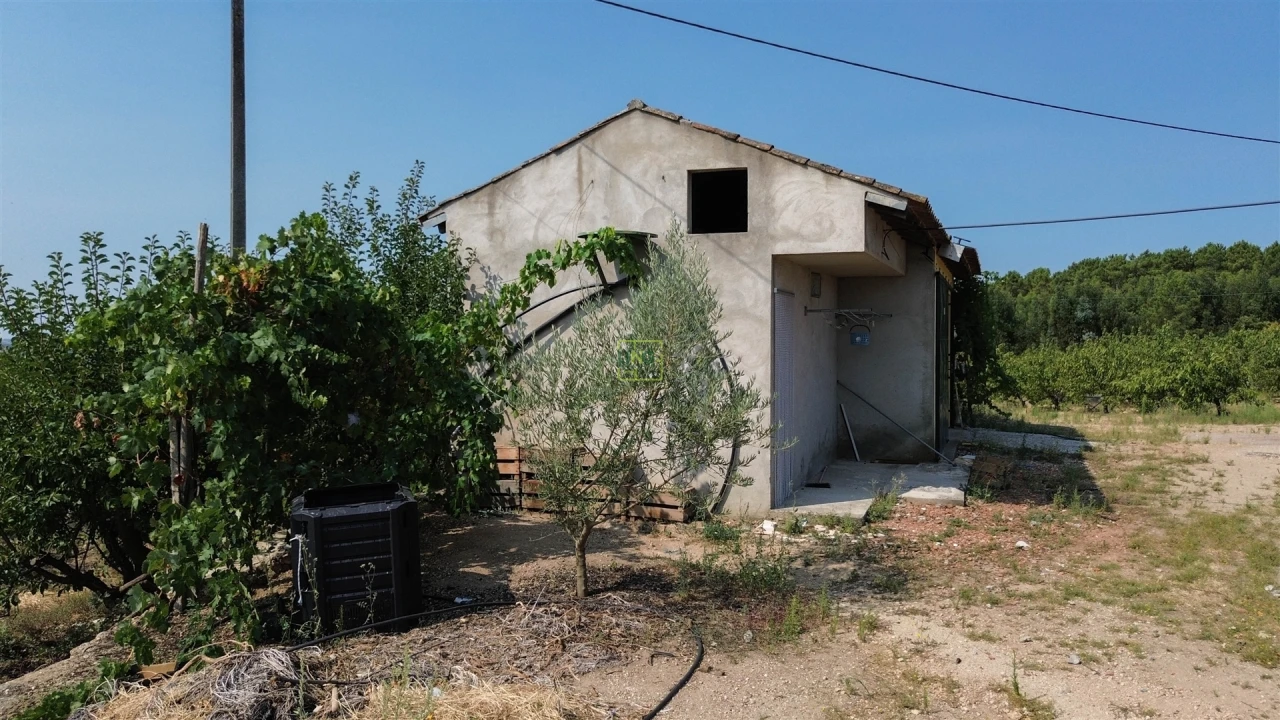 Quinta T1 para Venda em Vale de Prazeres e Mata da Rainha Foto 55
