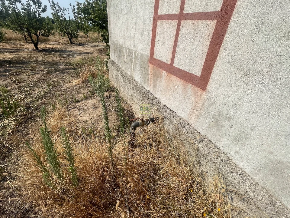 Quinta T1 para Venda em Vale de Prazeres e Mata da Rainha Foto 96
