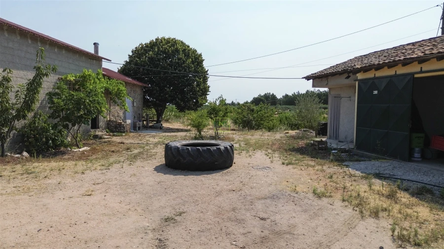 Quinta T1 para Venda em Vale de Prazeres e Mata da Rainha Foto 45