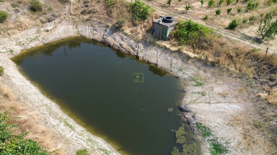 Quinta T1 para Venda em Vale de Prazeres e Mata da Rainha Foto 11