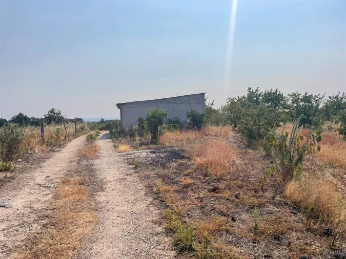 Quinta T1 para Venda em Vale de Prazeres e Mata da Rainha Foto 88