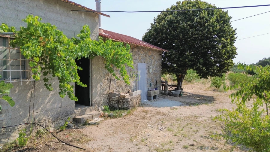 Quinta T1 para Venda em Vale de Prazeres e Mata da Rainha Foto 48