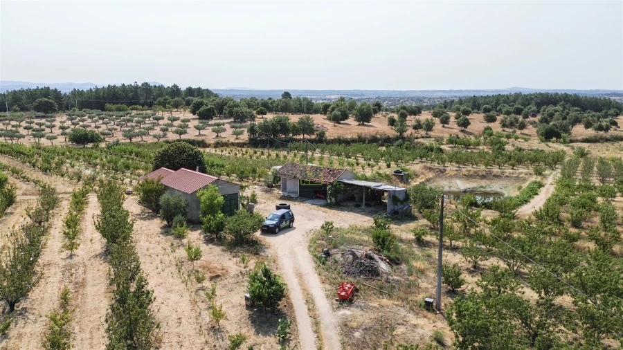 Quinta T1 para Venda em Vale de Prazeres e Mata da Rainha Foto 20