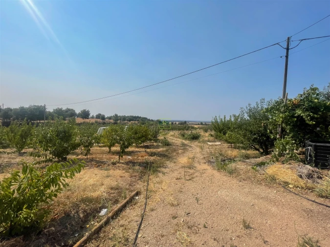 Quinta T1 para Venda em Vale de Prazeres e Mata da Rainha Foto 80