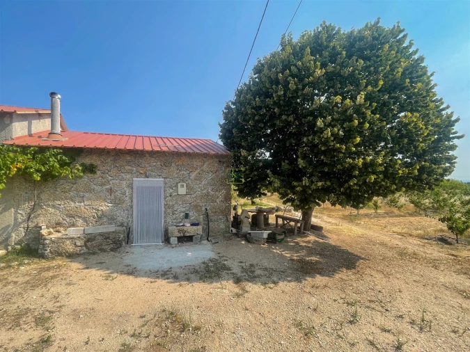 Quinta T1 para Venda em Vale de Prazeres e Mata da Rainha Foto 79