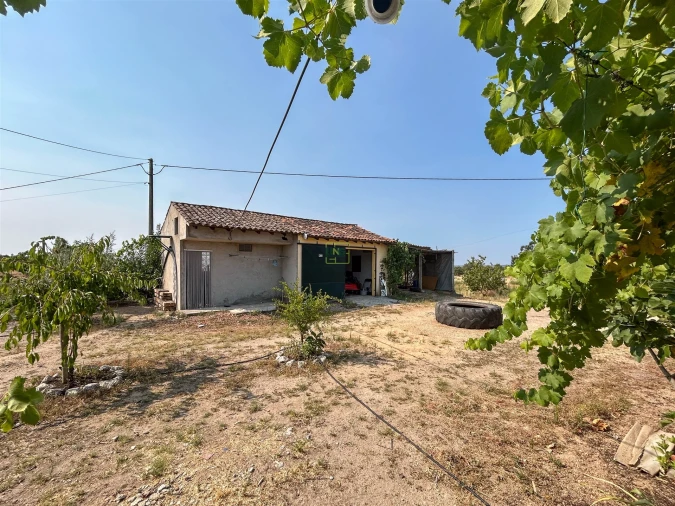 Quinta T1 para Venda em Vale de Prazeres e Mata da Rainha Foto 35