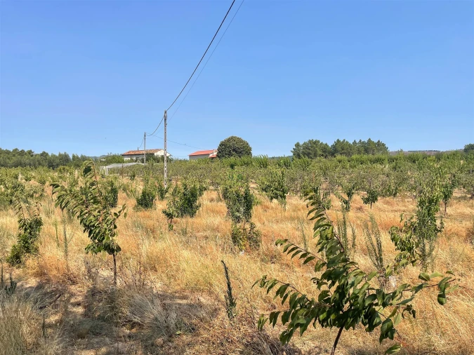 Quinta T1 para Venda em Vale de Prazeres e Mata da Rainha Foto 107