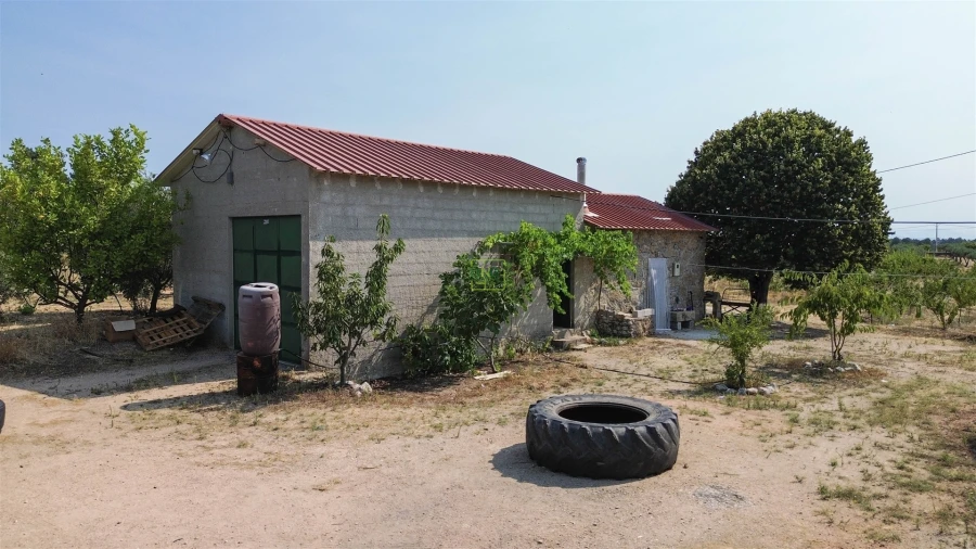 Quinta T1 para Venda em Vale de Prazeres e Mata da Rainha Foto 43