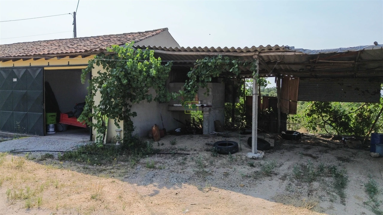 Quinta T1 para Venda em Vale de Prazeres e Mata da Rainha Foto 50
