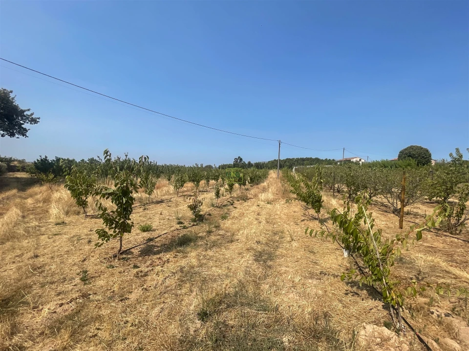 Quinta T1 para Venda em Vale de Prazeres e Mata da Rainha Foto 105
