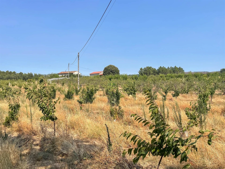 Quinta T1 para Venda em Vale de Prazeres e Mata da Rainha Foto 107