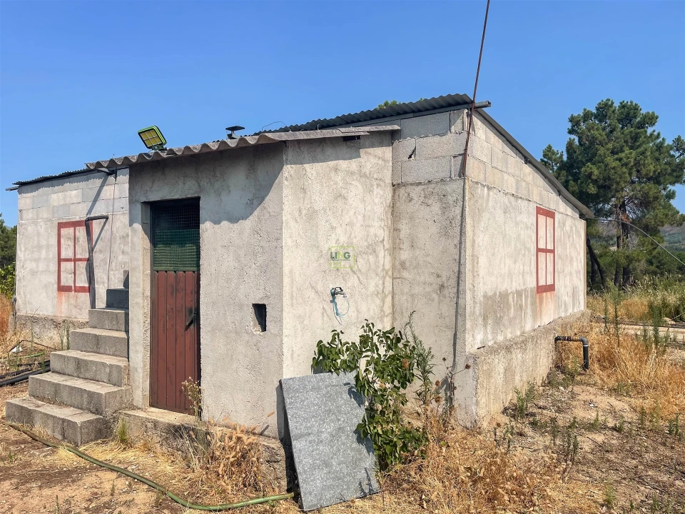 Quinta T1 para Venda em Vale de Prazeres e Mata da Rainha Foto 91