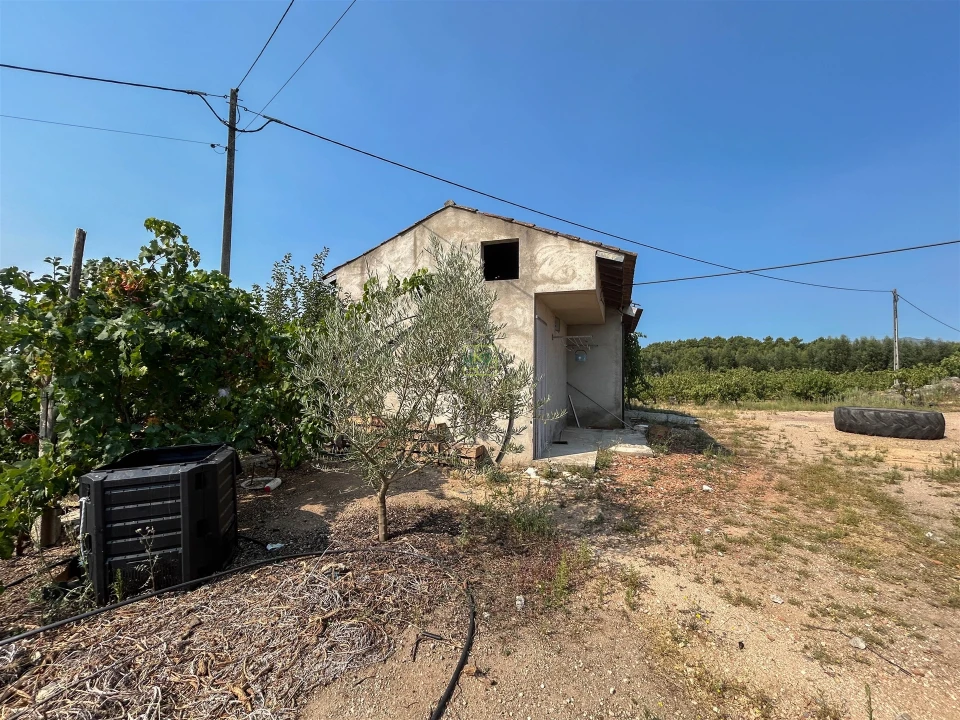 Quinta T1 para Venda em Vale de Prazeres e Mata da Rainha Foto 41
