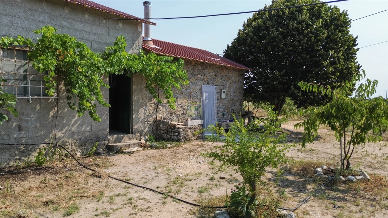 Quinta T1 para Venda em Vale de Prazeres e Mata da Rainha Foto 46