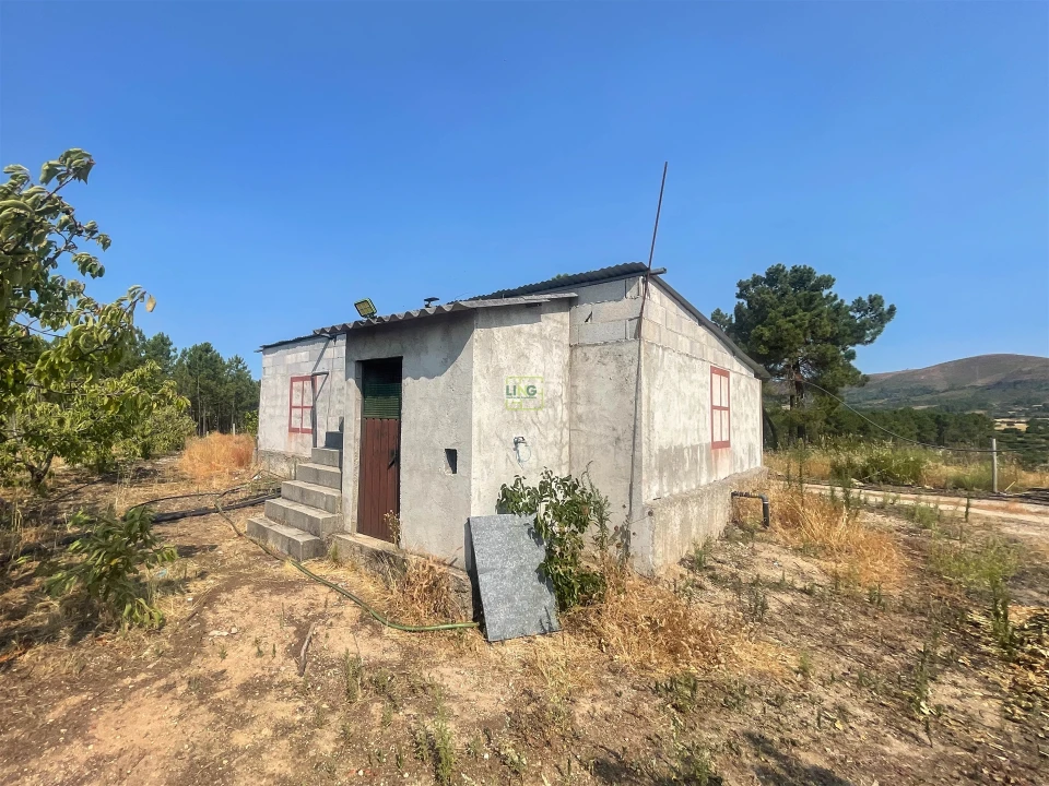 Quinta T1 para Venda em Vale de Prazeres e Mata da Rainha Foto 90
