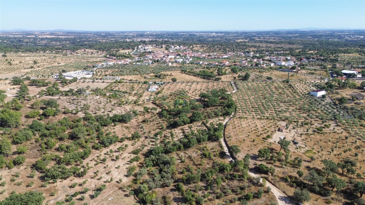 Terreno Agricola ou Rústico para Venda em Tinalhas Foto 3