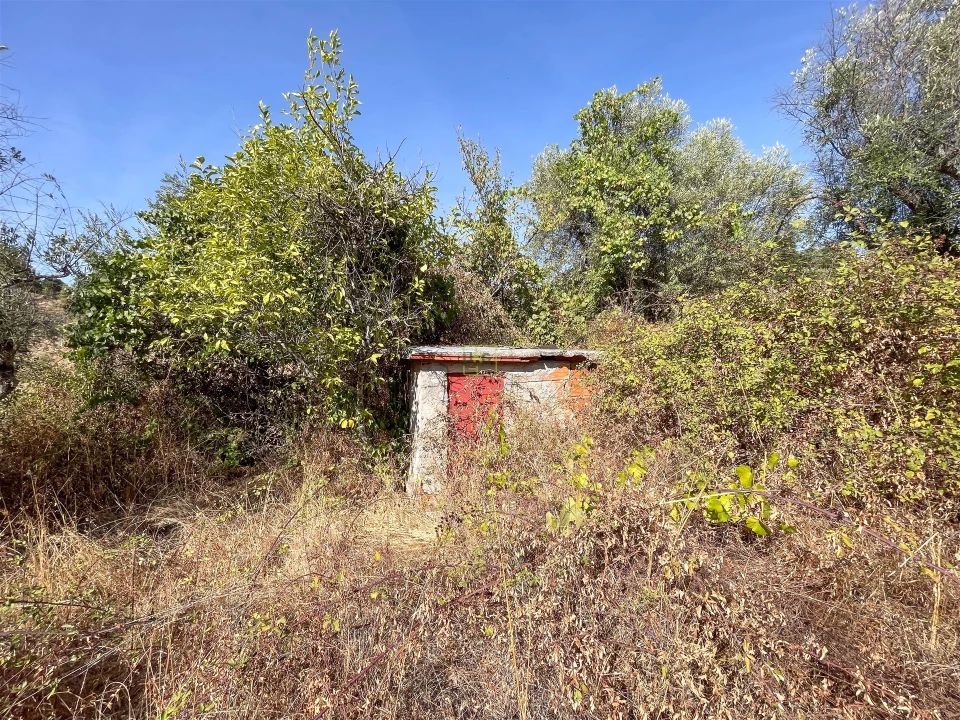 Terreno Agricola ou Rústico para Venda em Tinalhas Foto 38