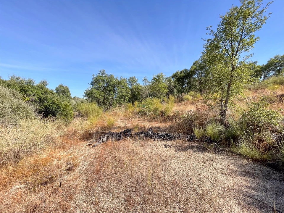 Terreno Agricola ou Rústico para Venda em Tinalhas Foto 31