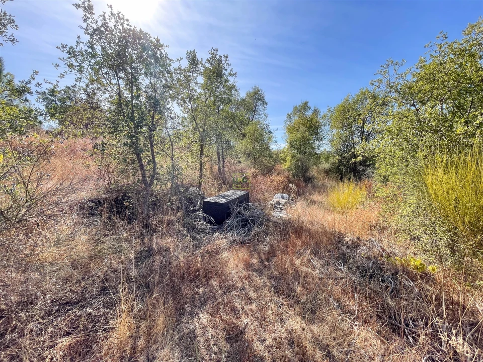 Terreno Agricola ou Rústico para Venda em Tinalhas Foto 34