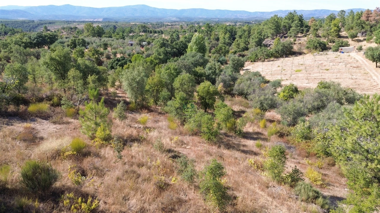 Terreno Agricola ou Rústico para Venda em Tinalhas Foto 16