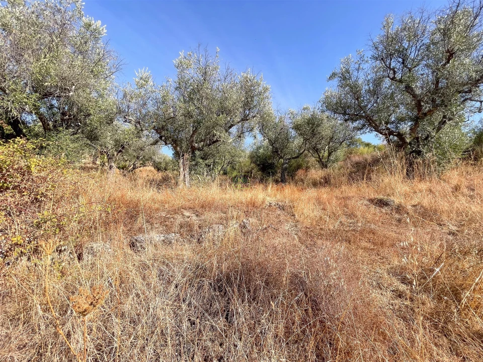 Terreno Agricola ou Rústico para Venda em Tinalhas Foto 39