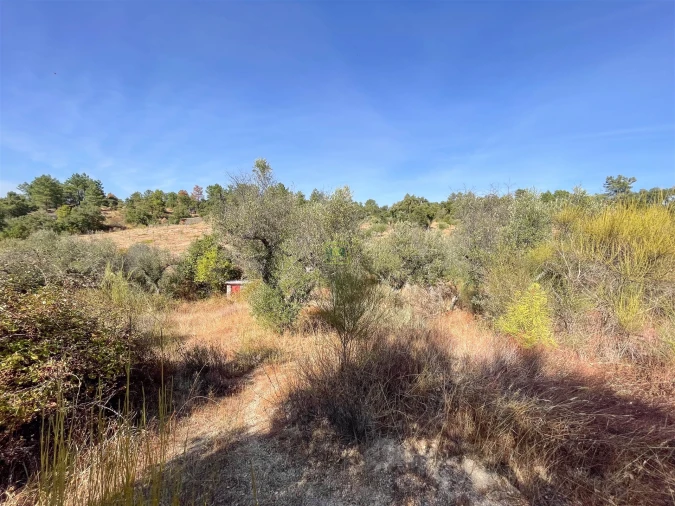 Terreno Agricola ou Rústico para Venda em Tinalhas Foto 35