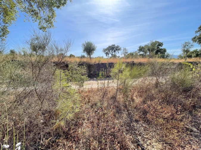 Terreno Agricola ou Rústico para Venda em Tinalhas Foto 21