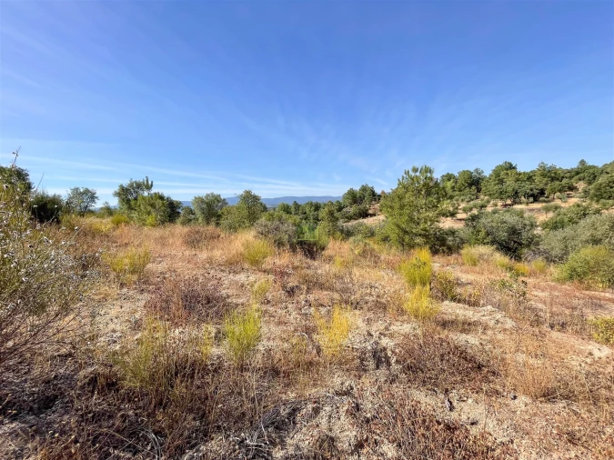 Terreno Agricola ou Rústico para Venda em Tinalhas Foto 26