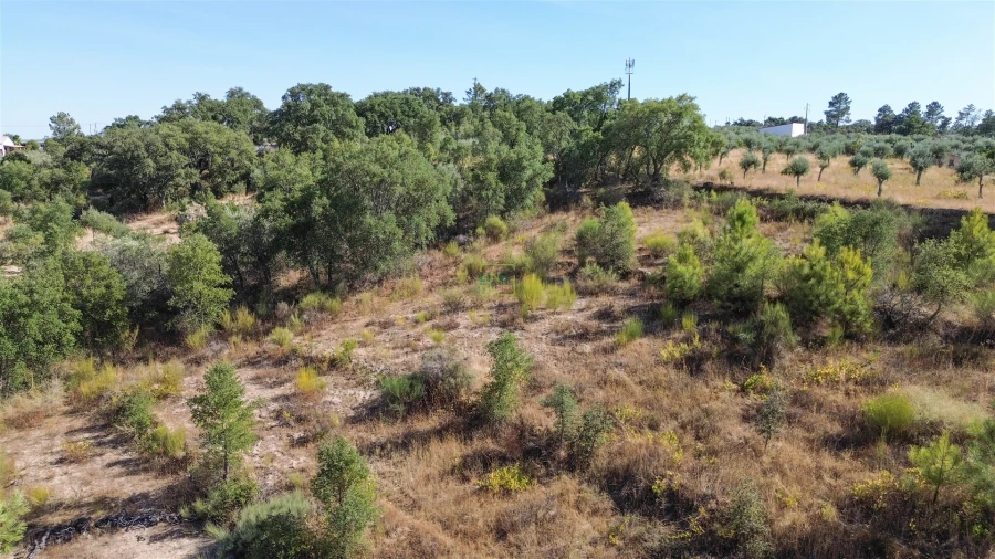 Terreno Agricola ou Rústico para Venda em Tinalhas Foto 8
