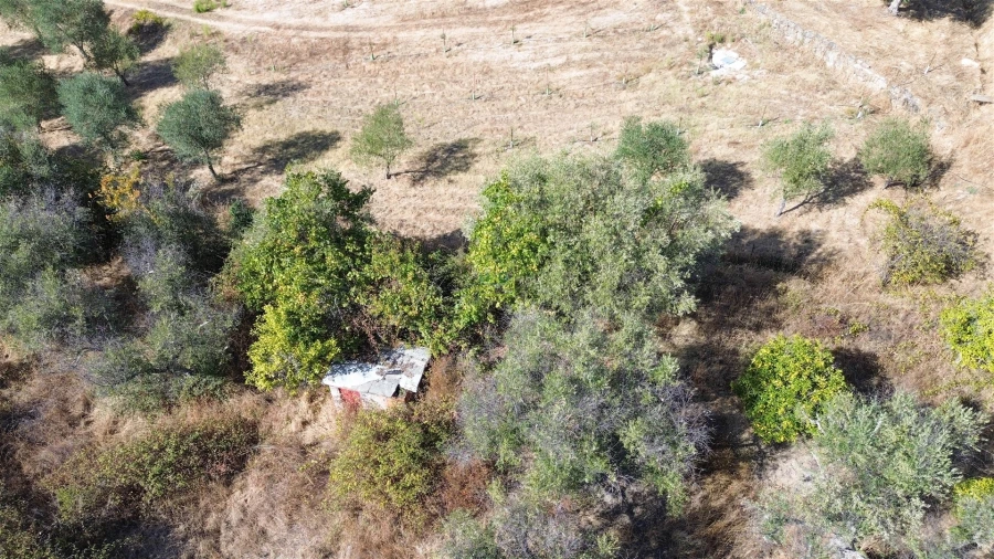 Terreno Agricola ou Rústico para Venda em Tinalhas Foto 10