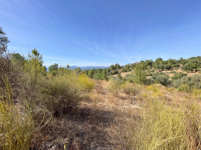 Terreno Agricola ou Rústico para Venda em Tinalhas Foto 23