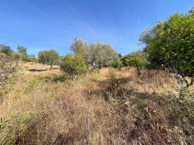 Terreno Agricola ou Rústico para Venda em Tinalhas Foto 42