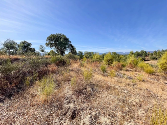 Terreno Agricola ou Rústico para Venda em Tinalhas Foto 19
