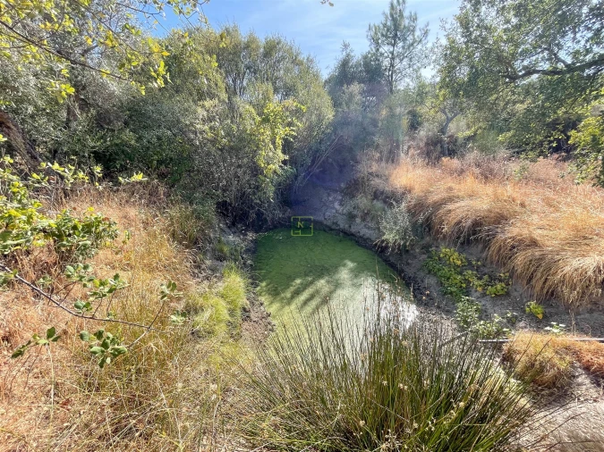 Terreno Agricola ou Rústico para Venda em Tinalhas Foto 48