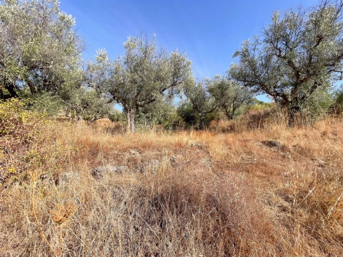 Terreno Agricola ou Rústico para Venda em Tinalhas Foto 39