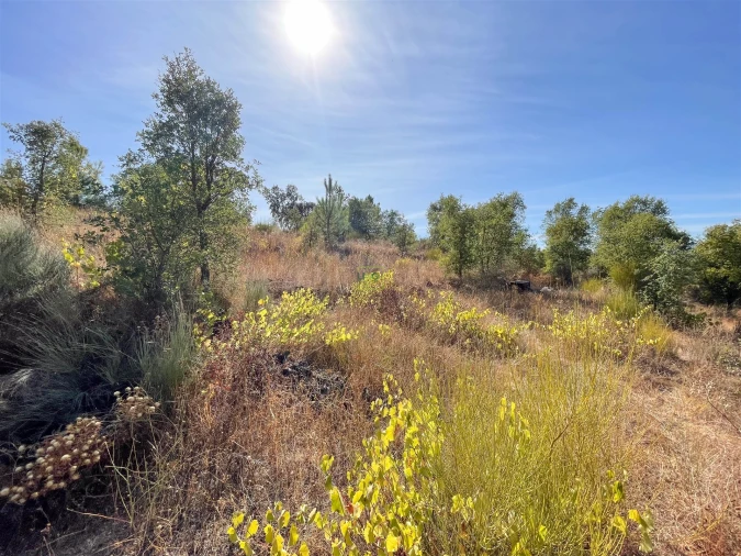 Terreno Agricola ou Rústico para Venda em Tinalhas Foto 29